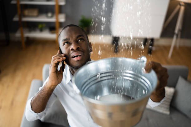 Best Flooded house restoration  in Cedar Crest, MA