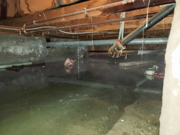 Best 24-hour water damage restoration  in Cedar Crest, MA