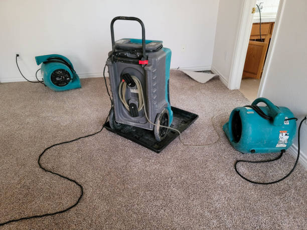 Best Professional water damage repair  in Cedar Crest, MA