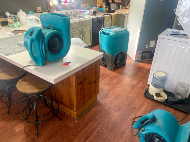 Water damage restoration experts in Cedar Crest, MA