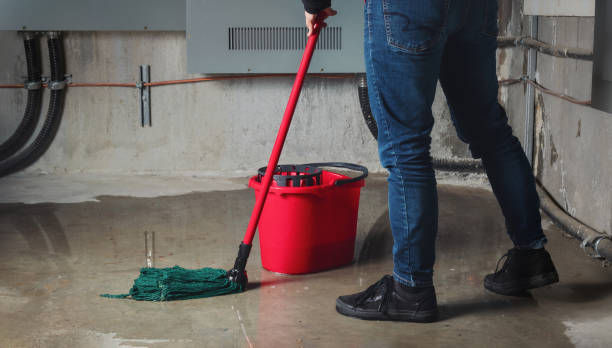 Best Flood restoration services  in Cedar Crest, MA