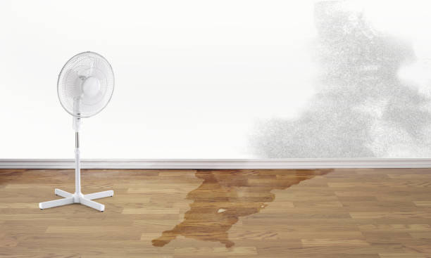 Best Water damage restoration near me  in Cedar Crest, MA