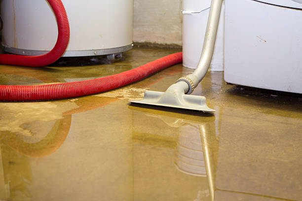 Trusted Cedar Crest, MA Water damage restoration Experts