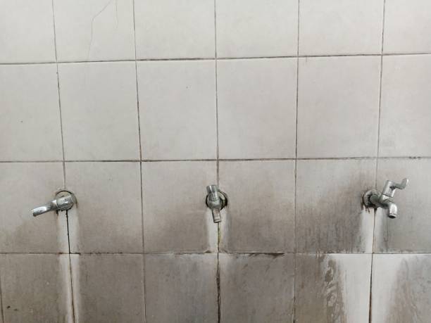 Local water damage restoration in Cedar Crest, MA