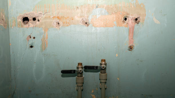 Best Water damage cleanup near me  in Cedar Crest, MA