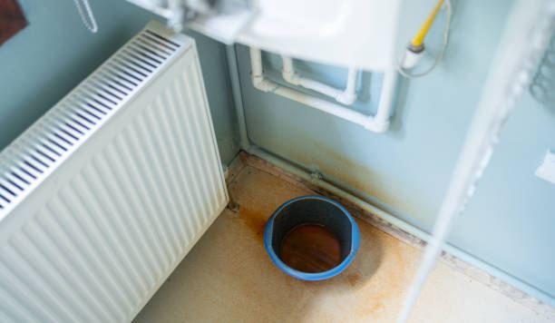 Best Ceiling water damage repair  in Cedar Crest, MA