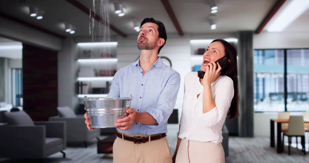 Best Water damage cleanup near me  in Cedar Crest, MA