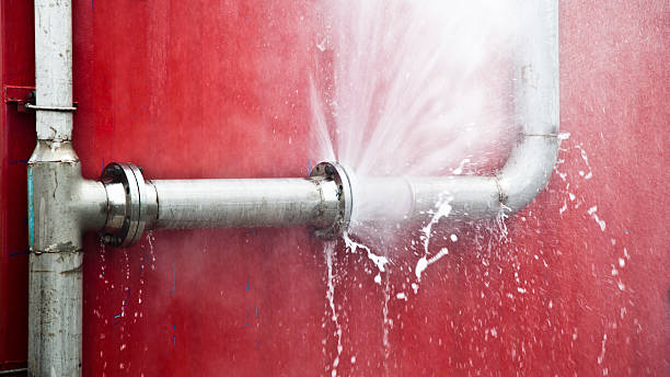 Best Local water damage restoration  in Cedar Crest, MA